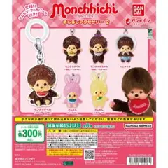 モンチッチ めじるしアクセサリー2 フルコンプリートセット