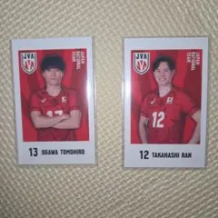 キャラポトレ　バレーボール男子日本代表 13 小川智大 12 高橋藍