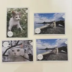 Item thumbnail for item 1d4d333c-44d6-47c6-86c0-0aced92ed4a1