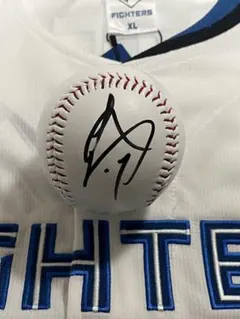 2026年最新】伊藤大海 サインの人気アイテム - メルカリ