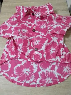 Item thumbnail for item 5a263cc1-ff31-446a-a425-fcbcc801938f