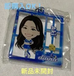 diana Aki アクリルサイン色紙　缶バッジ　アクキー　セット　ベイスターズ diana Aki アクリルサイン色紙 缶バッジ アクキー セット