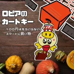ロピア カートキー ⚠️注意書きを読んで下さい