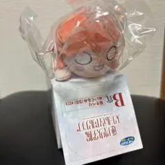 2025年最新】蓮の空 ぬいぐるみの人気アイテム - メルカリ