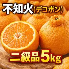 お得！ 不知火（デコポン） 5kg 二級品 家庭用