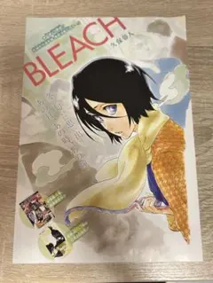 BLEACH ブレソル 黒崎 一護 ポスター ブリーチ クリアポスター - メルカリ
