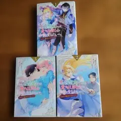 悪虐聖女ですが、愛する旦那さまのお役に立ちたいです。全３巻