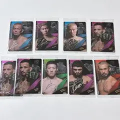 Item thumbnail for item a134b99c-505d-4be5-822a-7a57d5077104