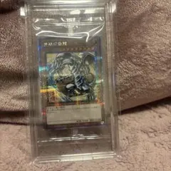 ARS10 遊戯王 浮世絵風 青眼の白龍 ブルーアイズホワイトドラゴン