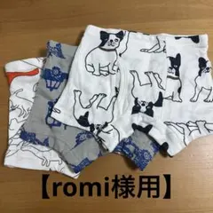 romi様用／恐竜などパンツ3枚　男の子 90cm