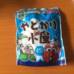 貝殻 詰め合わせキット