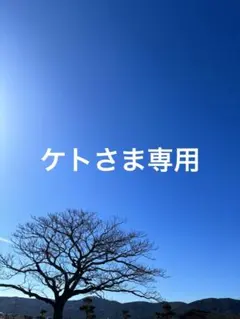 【 ケトさま専用 】