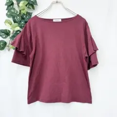 美品✨ オペークドットクリップ フリル袖 半袖 トップス ボルドー ボートネック