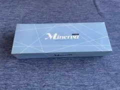 Item thumbnail for item c60efa75-054b-4dfa-9290-0e941813f6c8