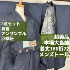 しつけ付　メンズ　本場大島紬　羽織紐　アンサンブル　152.5裄70 紺　トール
