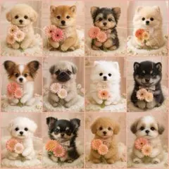 犬柄！　12枚パネル生地　花束わんこ