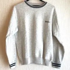 Hanes ヘインズ 刺繍ロゴ スウェットトレーナーMサイズ