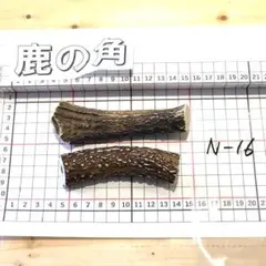 녹용 N16, 2개 세트, 100g, 효고현산 카즈노 사슴 뿔