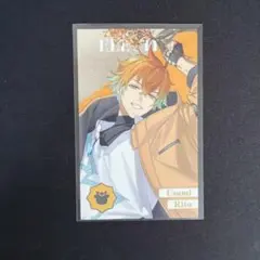 和様 リクエスト 5点 まとめ商品