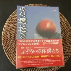 ふぞろいの林檎たち〈初回限定生産スペシャルBOX仕様・5枚組〉 ふぞろいの林檎たち DVD-BOX 1985年ドラマ