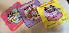 [新品][未使用]ディズニーランド購入 タオルハンカチ3枚セット