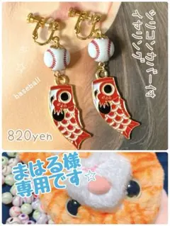 まはる様　専用ページです⭐︎