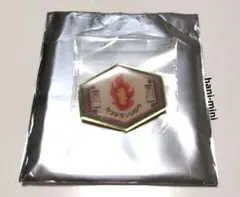 鬼滅の刃 きめつ食堂 竈門炭治郎 ピンズ