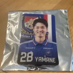 Item thumbnail for item f779ce07-444e-4efe-ba94-6f01d5f9cce4