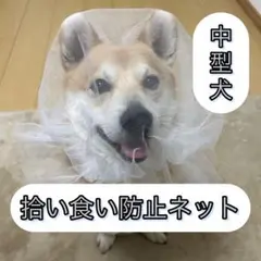 Item thumbnail for item 6938c999-8d31-4d31-9c5a-8d356e6e5767