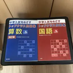 Item thumbnail for item f813993f-51ac-433c-986f-33db7486f1da