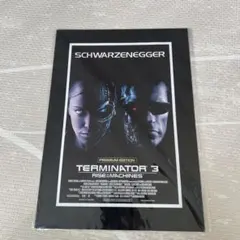 映画グッズ_1991年購入_未使用新品_ターミネーター2_下敷き - メルカリ