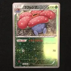 2025年最新】ラフレシア イライラの人気アイテム - メルカリ