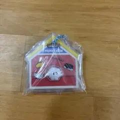 MINITEEN PHYGUL アクリルキーホルダー