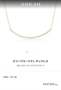 AHKAH ビリーブユーミディ ネックレス 18K YG ビリーブユーのサムネイル