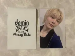 Stray Kids dominATE 購入特典 トレカ アイエン