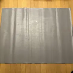 リノリウム バレエ 自宅練習 92cm×119.5cm 東リTMフロア