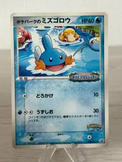 ポケパークのミズゴロウ PROMO PCG-Pプロモカード 048/PCG-Pのサムネイル
