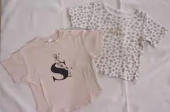 cottoli バースデイ イニシャルTシャツ キリン柄 90cm