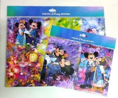 Disney◆ イマジニング／クリアホルダー＋ポストカードセット