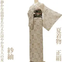 ゆめsaku 未着用 夏着物 正絹 絽 仕付け糸付 手縫い 色無地 P-245