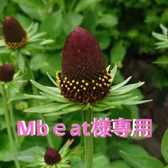 Mbeat様 リクエスト 2点 まとめ商品