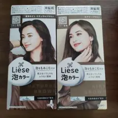 Liese 泡カラー ナチュラルブラウン エアリーブラウン 2個セットのサムネイル