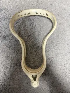 Item thumbnail for item 134f0f6c-9533-46d9-a17e-9c9eef1fad4c