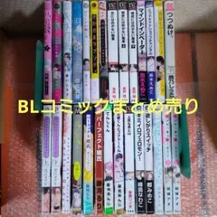BLコミックまとめ売り　28冊　特典ペーパーあり