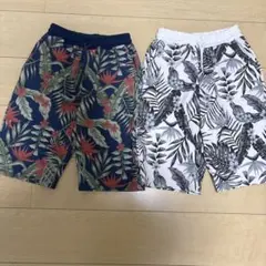 柄半ズボン