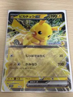 【新品未使用・24時間以内発送】ポケモンメガスタンプラリー2025セット