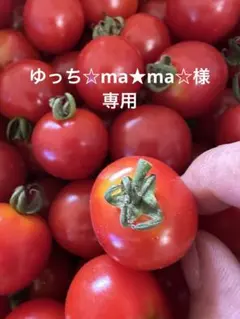 ゆっち☆ma★ma☆様•*¨*•.¸♬︎