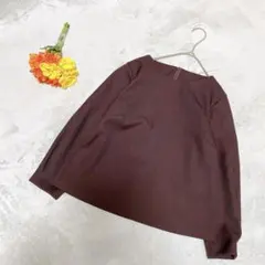 【リリアンビューティ】ブラウス プルオーバー ボートネック 茶 S