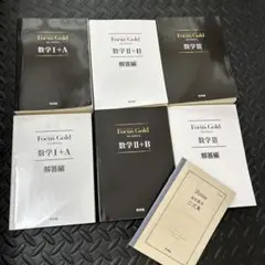 Focus Gold 数学 I+A II+B III 4th edi 美品