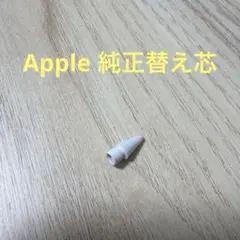 Apple pencil 純正 動作確認済みペン 先替え芯